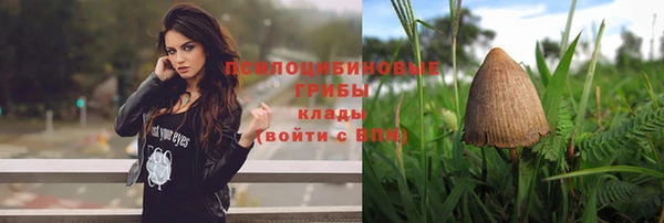 apvp Беломорск