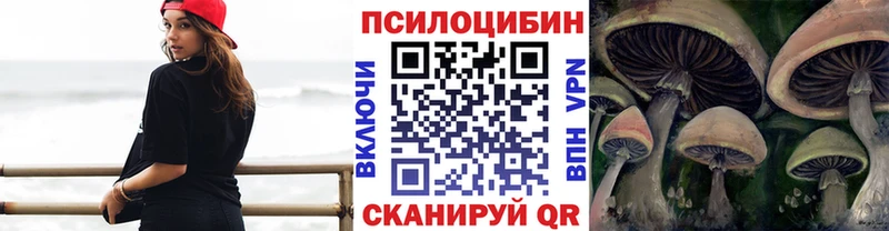 Псилоцибиновые грибы мухоморы  где найти   Сланцы 
